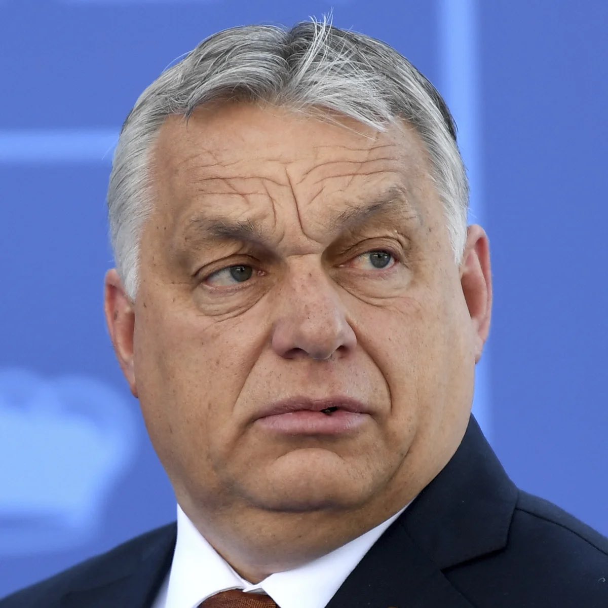 Lee Patriot Hood tweet media