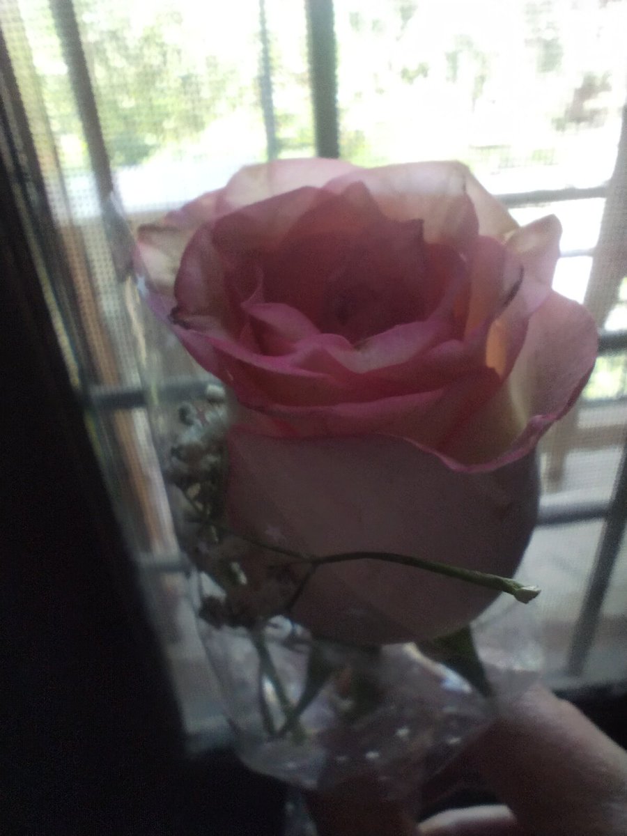 Kirandeep Kaur ☀️ tweet media