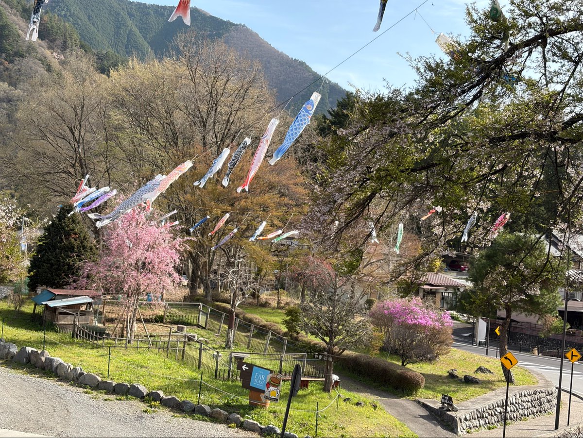 こ、こすげぇー〈小菅村の総合情報サイト〉 tweet media