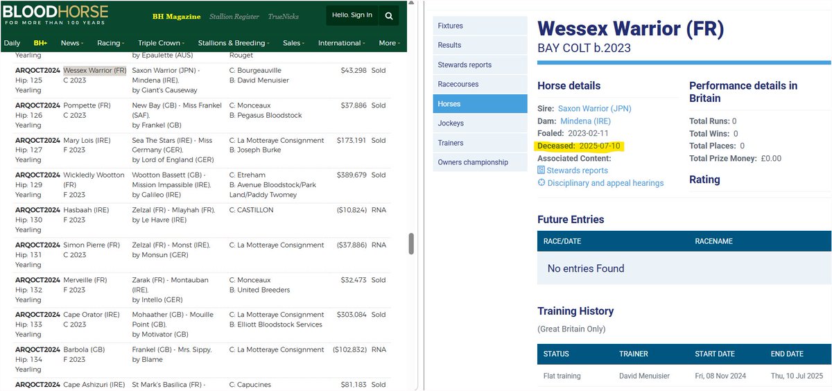 NO.595 UK Horse Racing 10 July 2025 

2yoC WESSEX WARRIOR 🙏🫶🐎

Listed as DECEASED c.8 months post in training start date, UNRACED, $43k yearling Arqana 2024 Oct sale

Cause Unknown

Verified: <a href="/BHAHorseracing/">British Horseracing Authority</a>