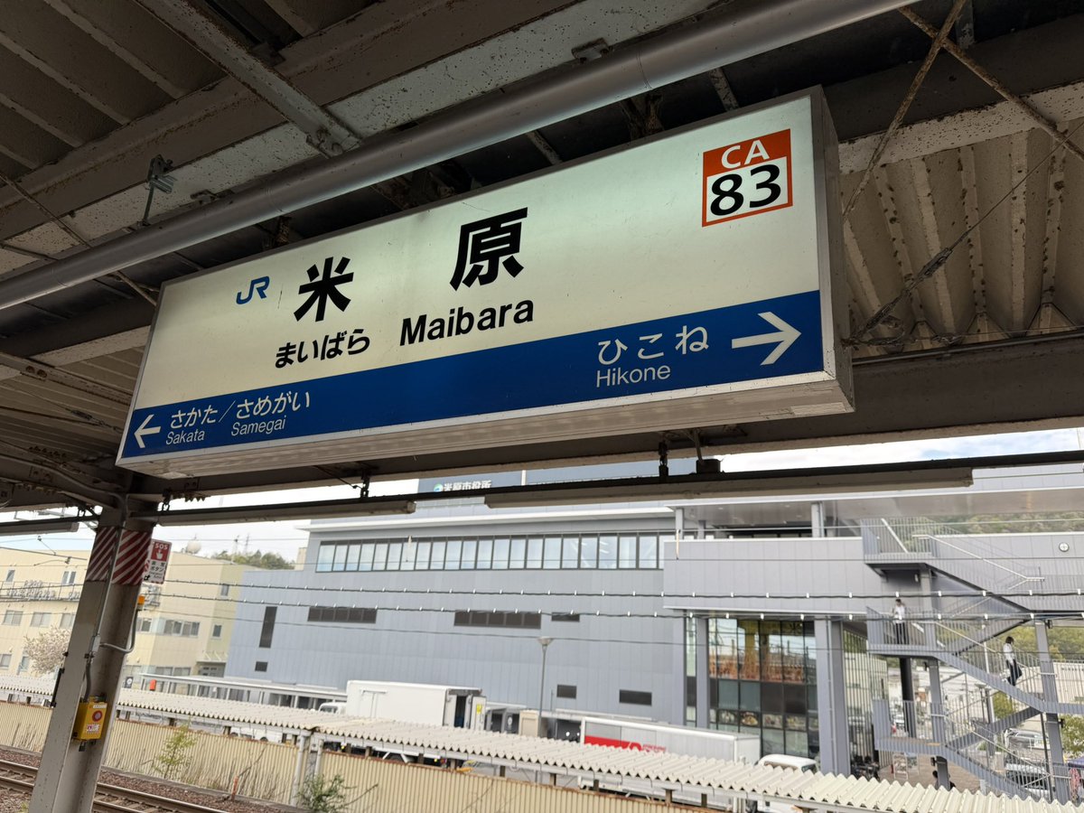 赤井＠ヒデコロザンナ tweet media