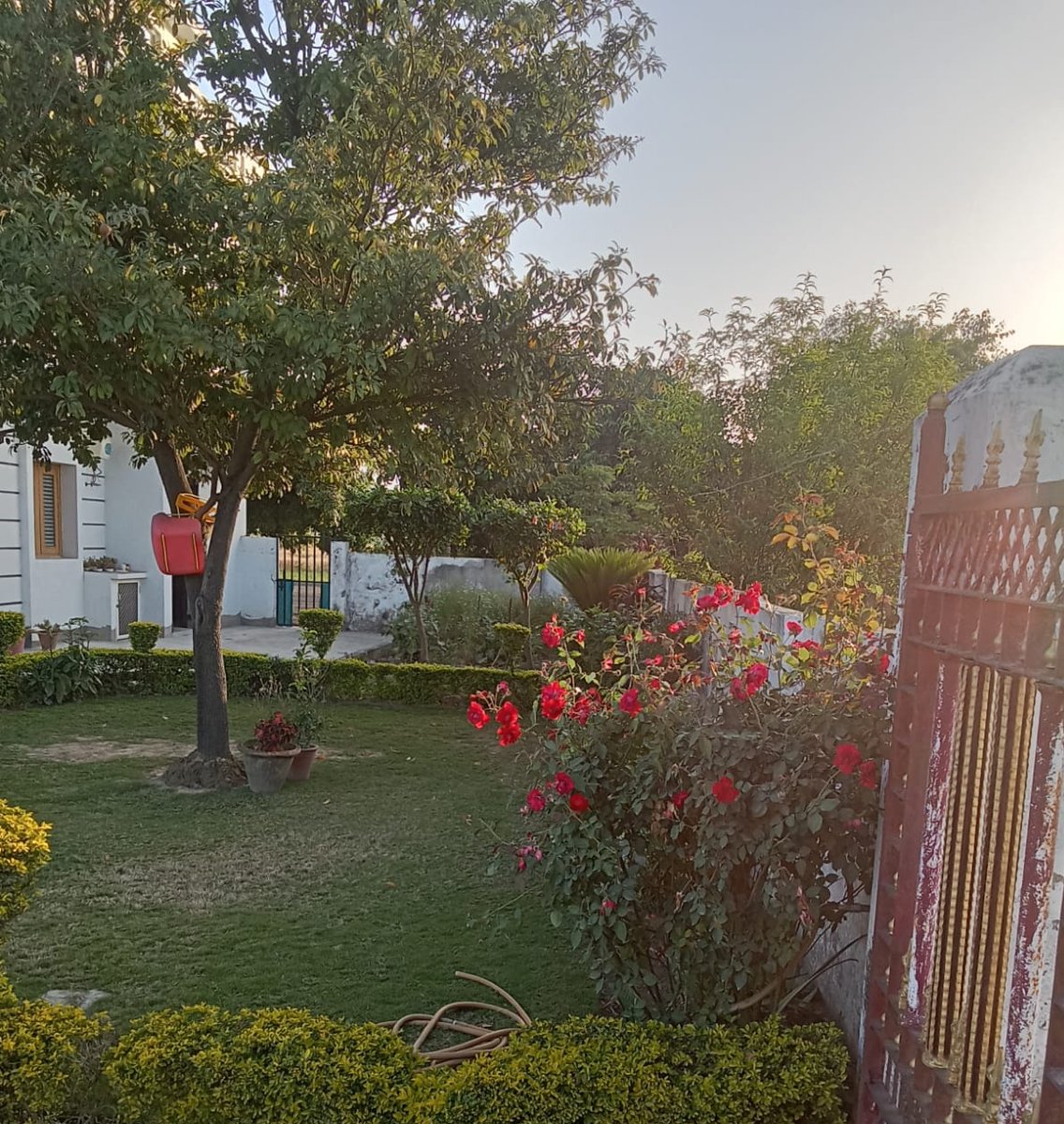 Crown👑🎊♥️🎵 tweet media