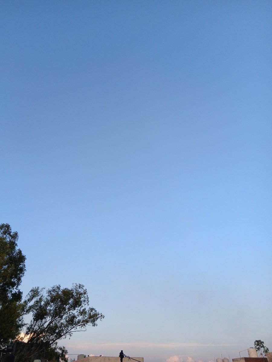 Crown👑🎊♥️🎵 tweet media