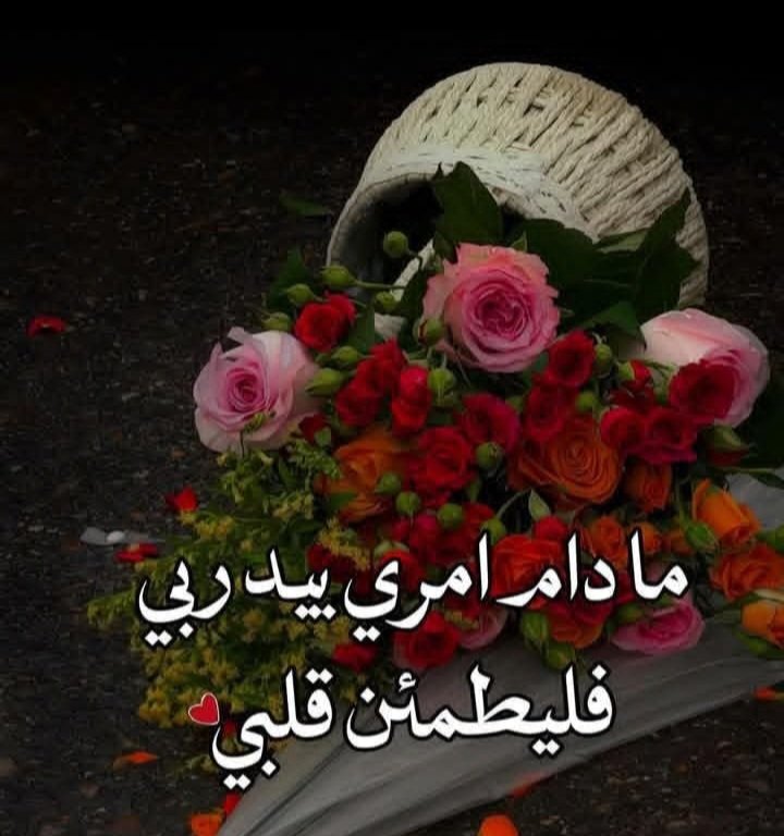 همس 🌺🦋 tweet media