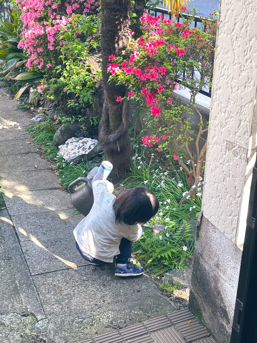 羽田ユキコ tweet media