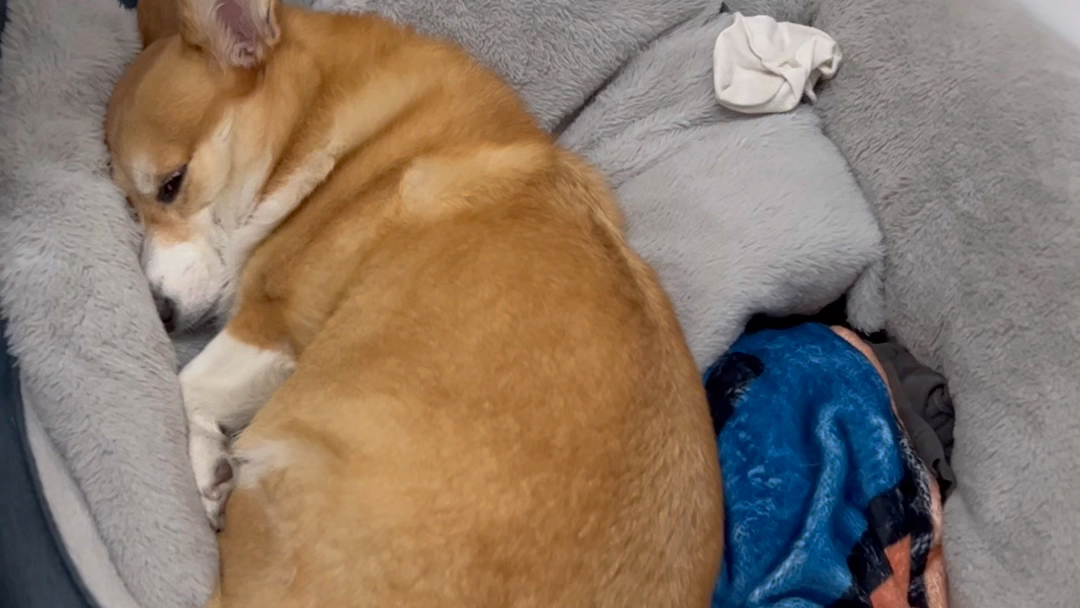 Christa Staszewski tweet media