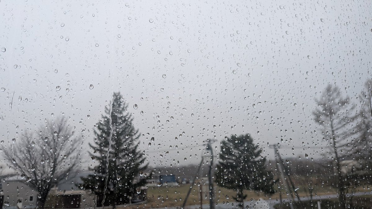 北海はいど tweet media