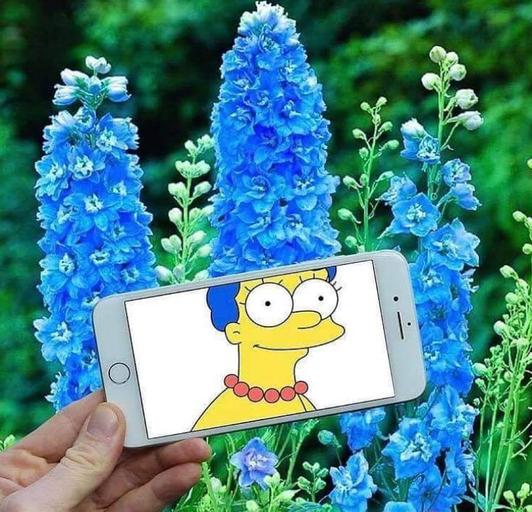 Starex_1's tweet image. iPhone 7