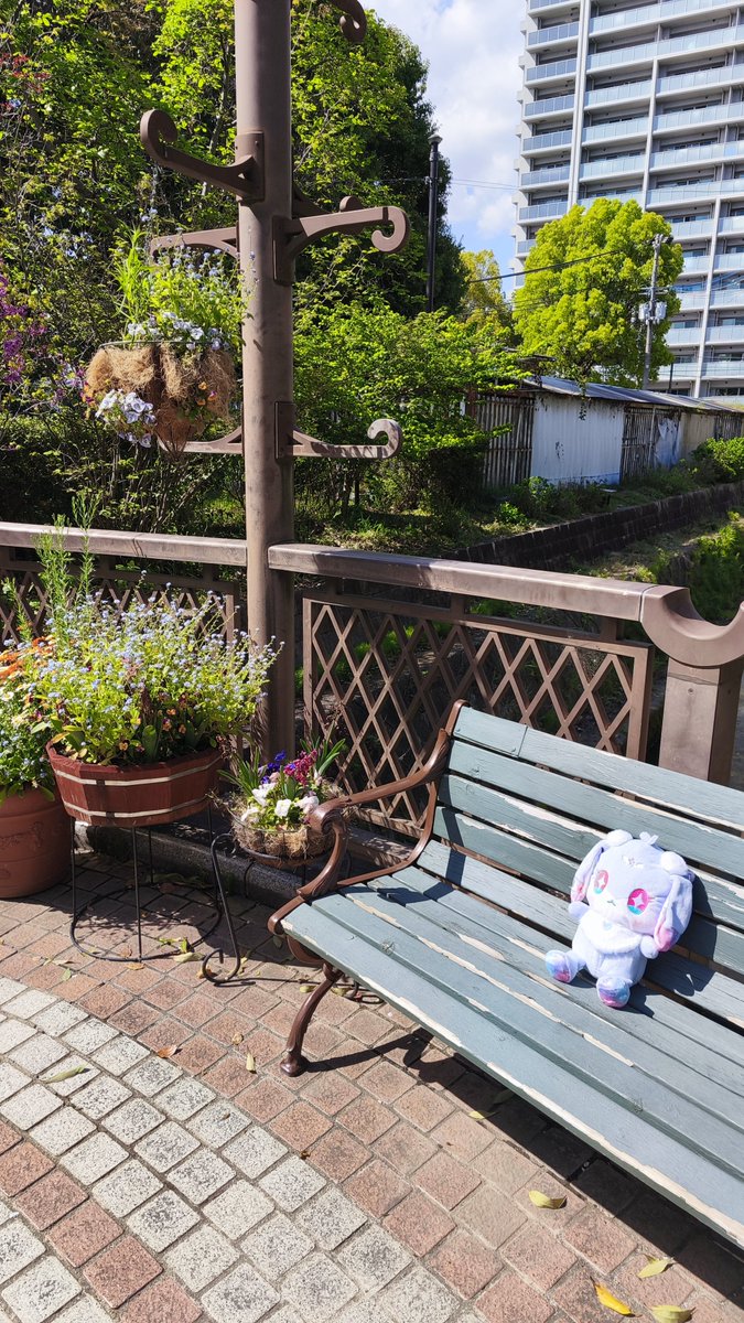 nia／にあ tweet media