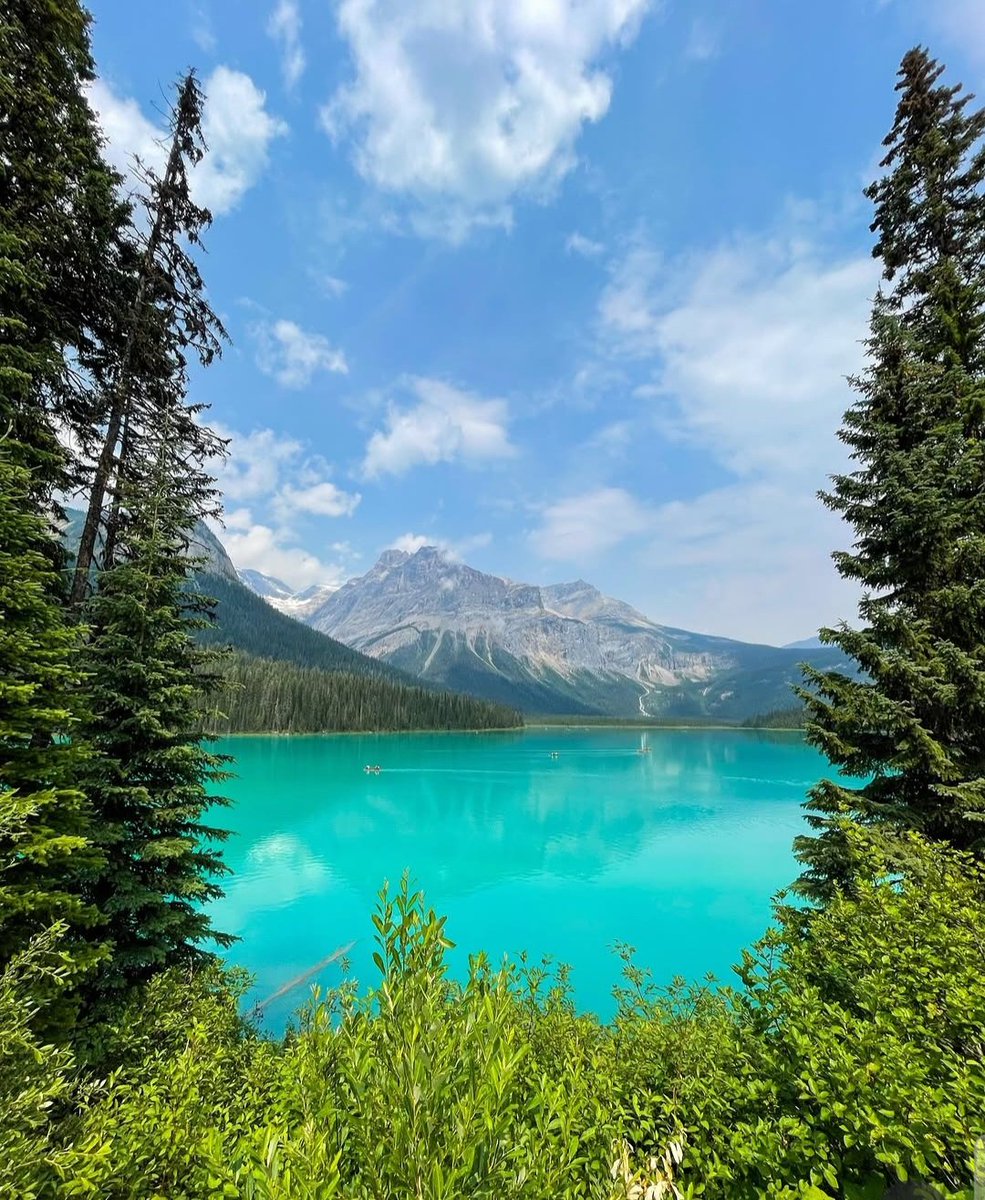 𝘔𝘶𝘳𝘢𝘭𝘪𝘥𝘩𝘢𝘳 𝘒 tweet media