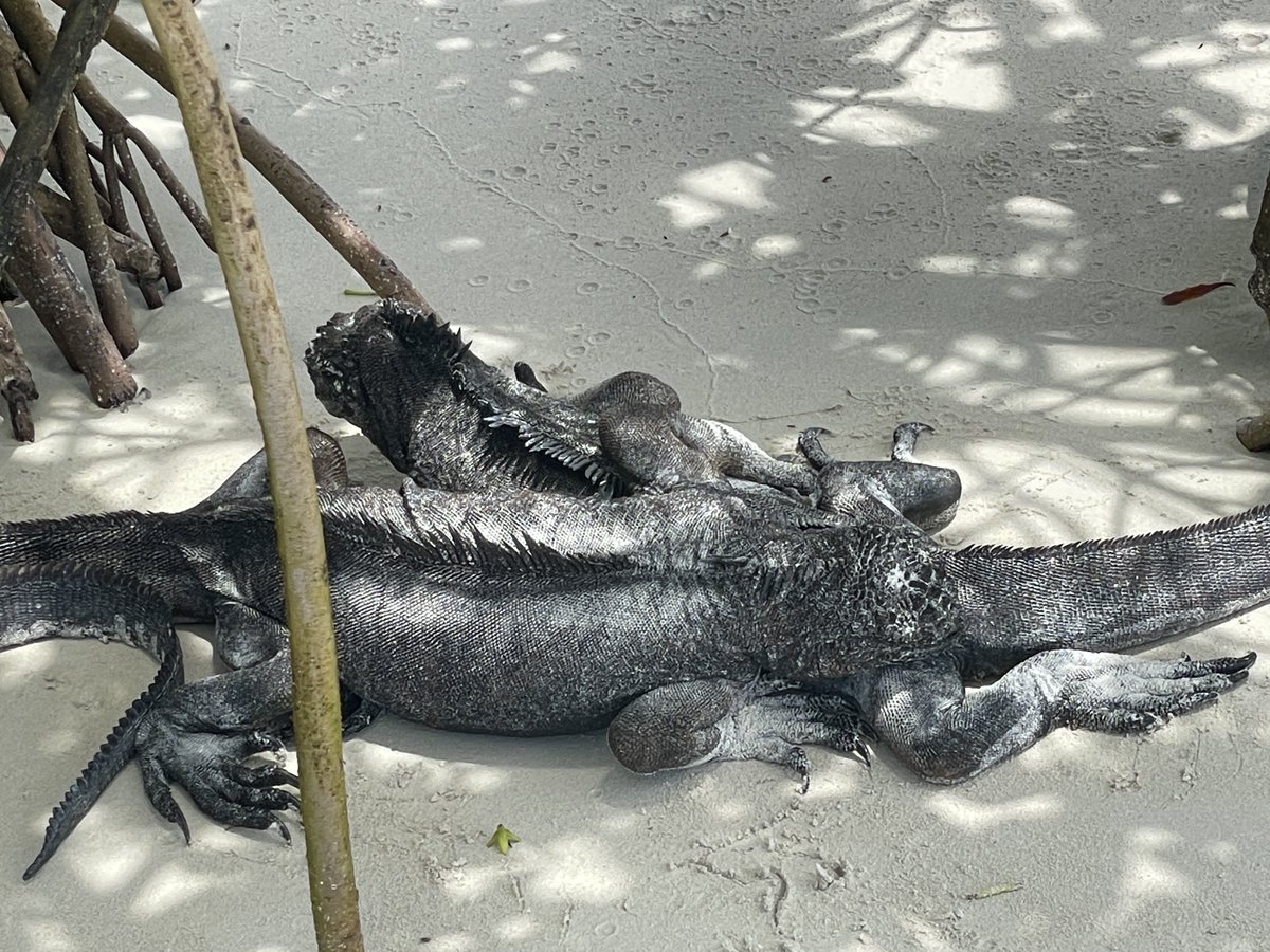 つぼみん旅行記 tweet media