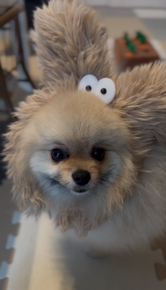 ここあ tweet media