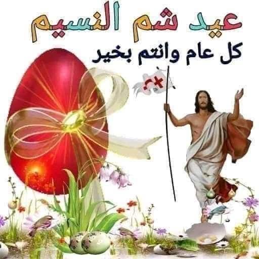 Hany Fmax tweet media