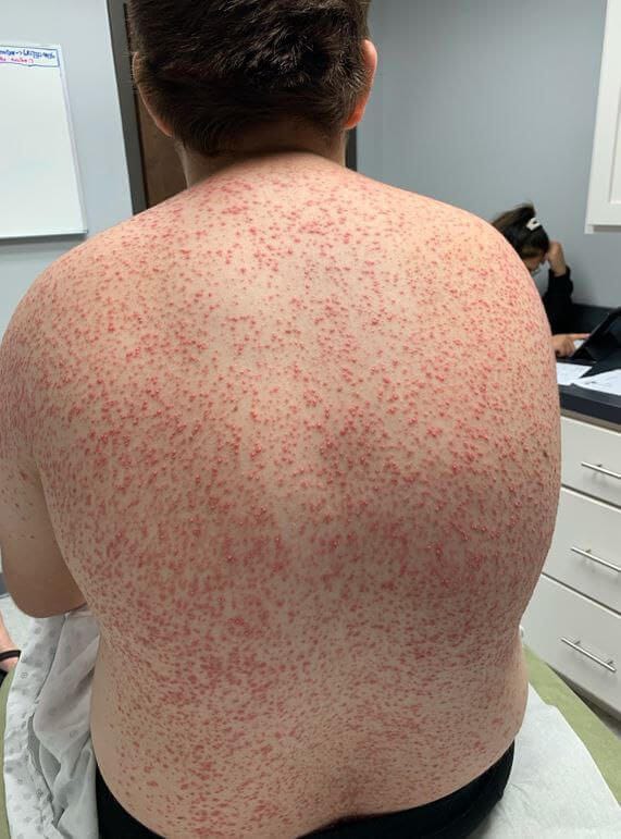 Dr Ihab Suliman tweet media