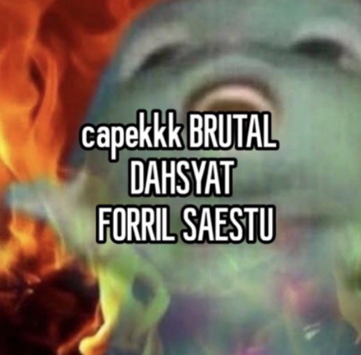 lyn ♡ 🐯ྀི 🐻ྀི tweet media