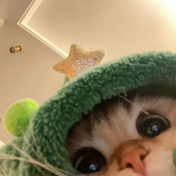 Kirra 🖤🩷 tweet media