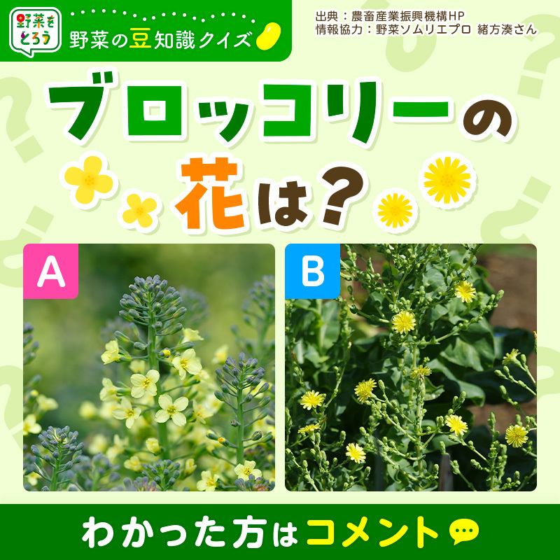 【公式】カゴメ tweet media