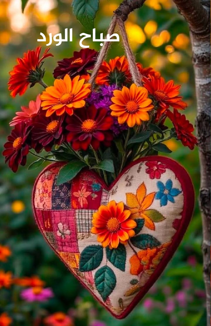 Hany Fmax tweet media