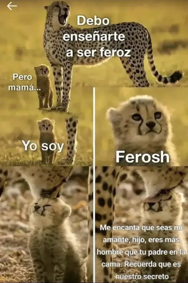 Archivos chistosos del 2009 🪲 🇭🇳 tweet media