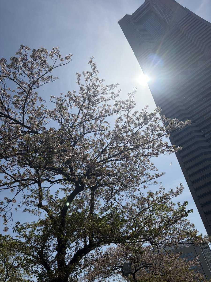 ₍ᐢ•ﻌ•ᐢ₎ 𖤐 Iris 𖤐ラスメモ𖤐ブレオダ tweet media