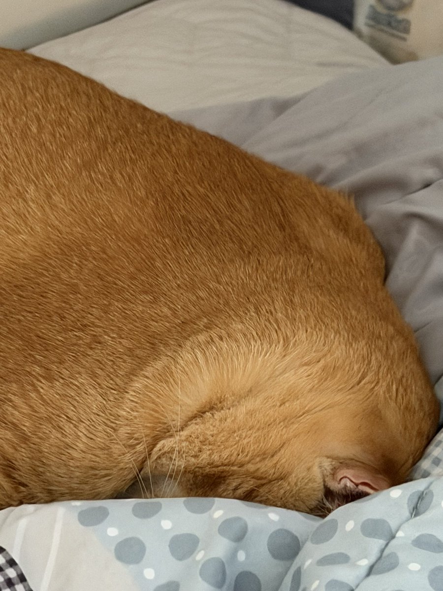 Simba Saekkiya tweet media