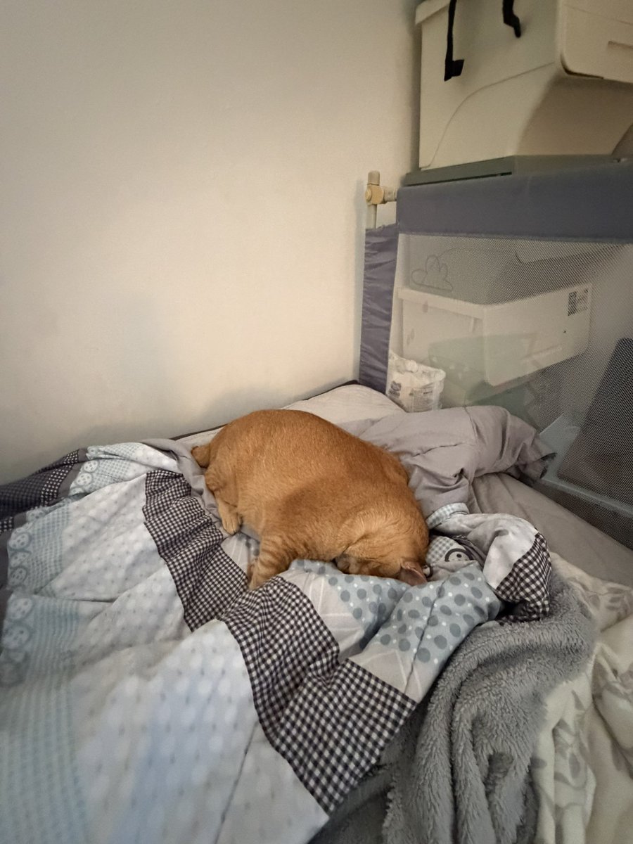 Simba Saekkiya tweet media