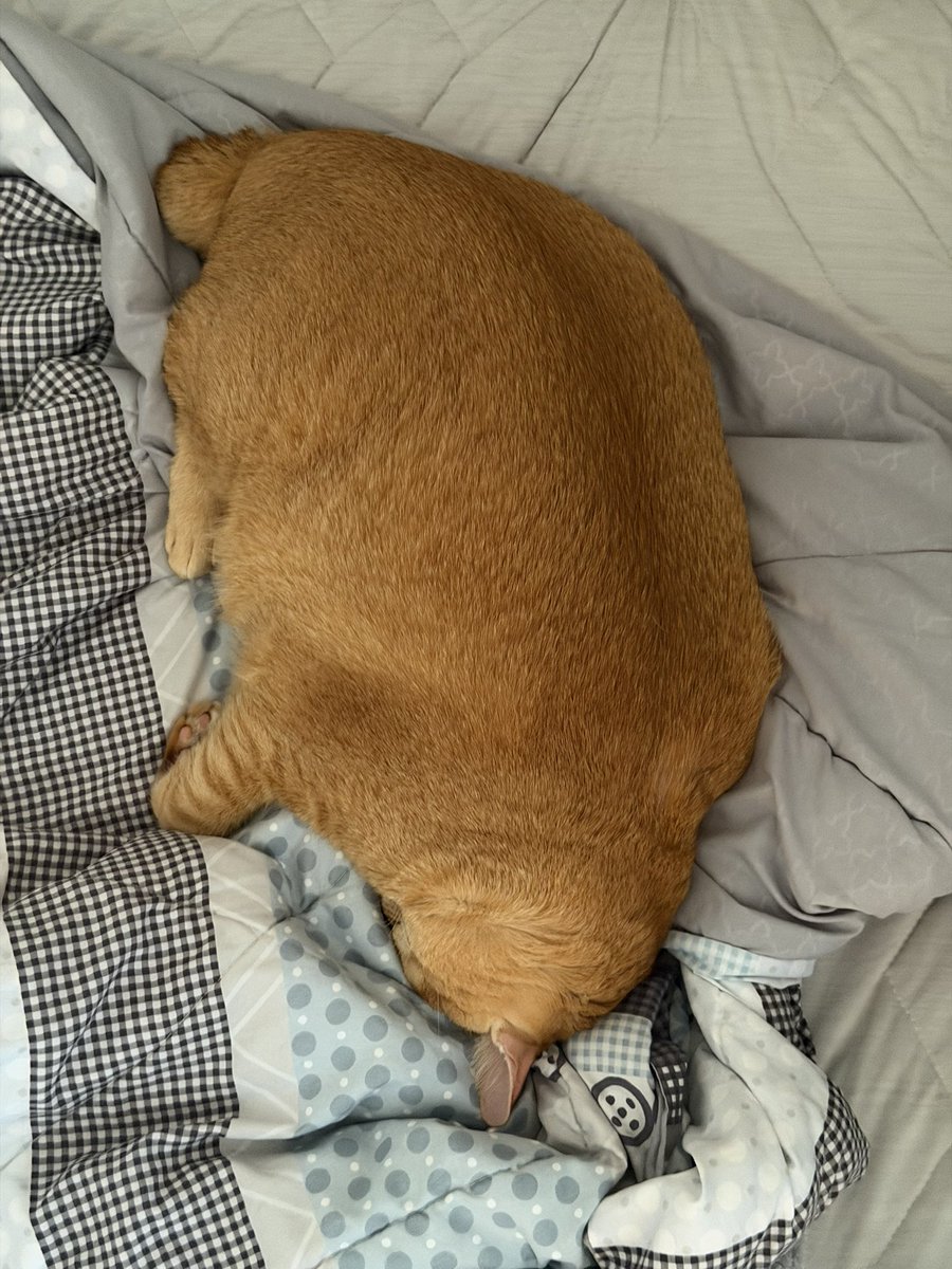 Simba Saekkiya tweet media