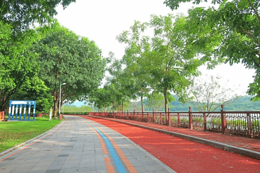 Andrew Yiu tweet media