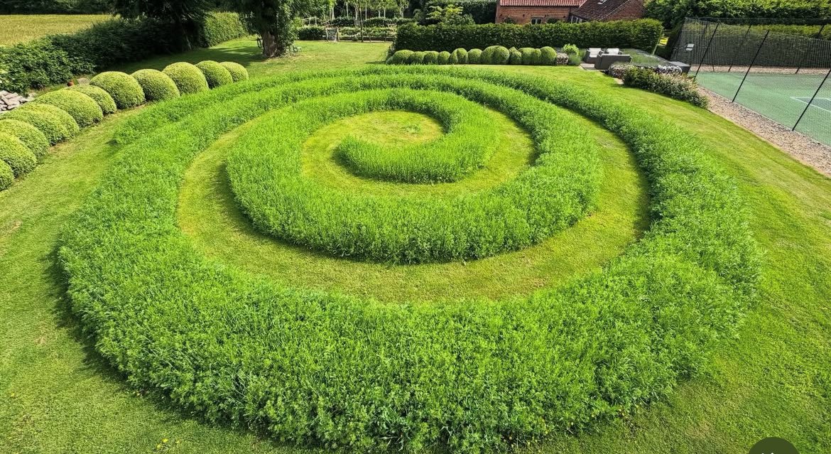 GardenerFliss's tweet image. What a brilliant idea for our wild flower field. I can feel a project coming on 😂 @GWandShows #gardenideas