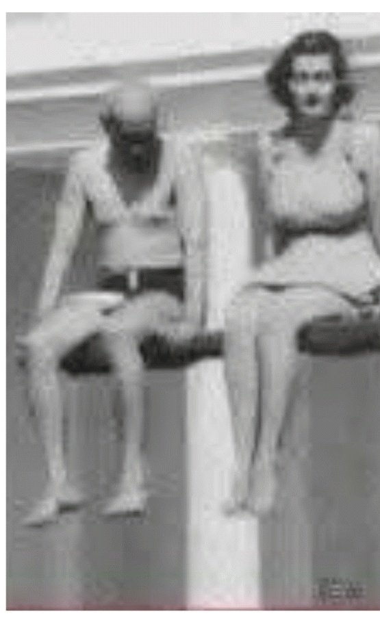 Chandan 🚩🇮🇳 tweet media