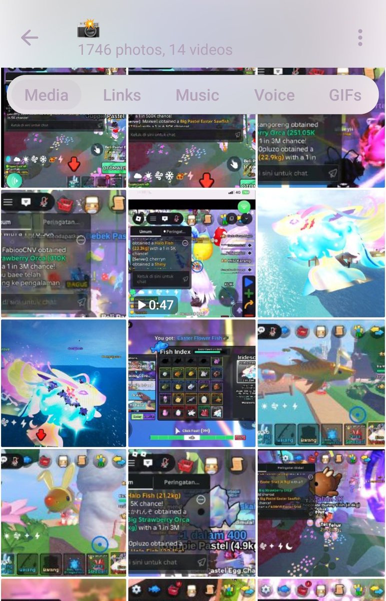 mikara tweet media