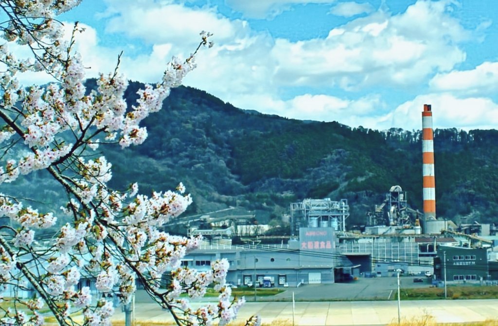agehasensei's tweet photo. 大船渡、セメント工場の煙突と桜🌸　 #大船渡 #写真 #デジタルでフィルムを再現したい #oldlens #nikon https://t.co/bTBZiEXEKv