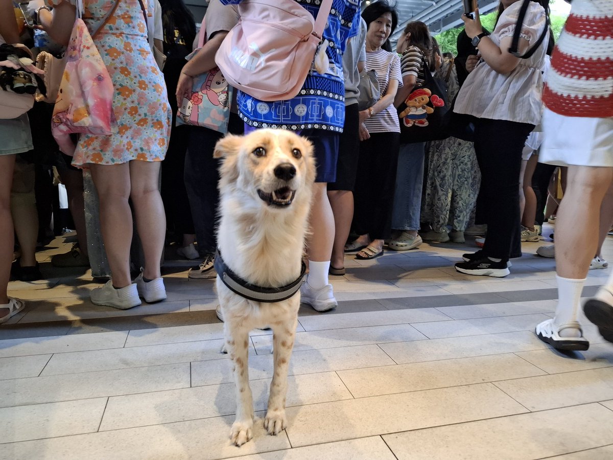 Pravit Rojanaphruk tweet media