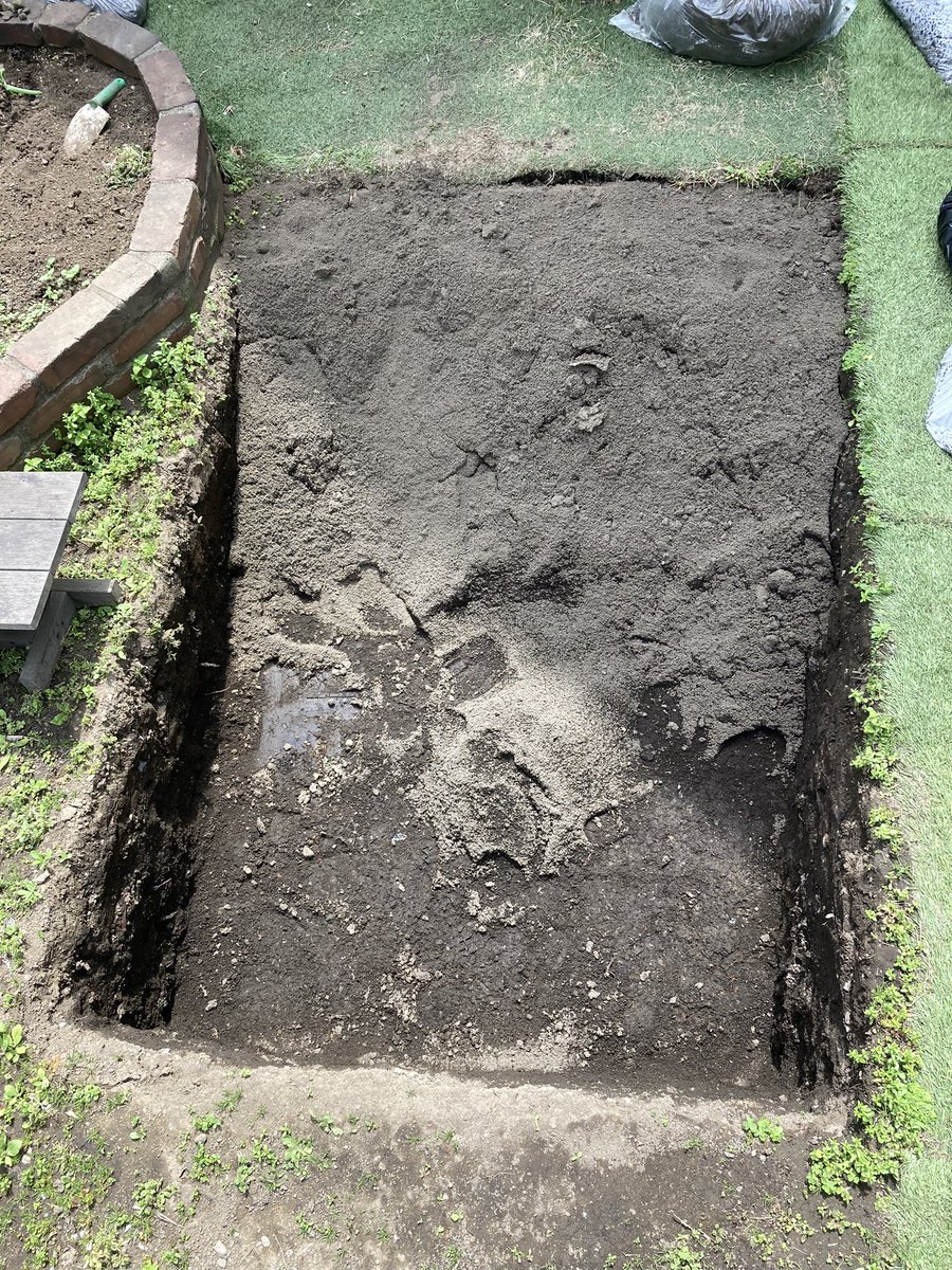 Gomitakashi tweet media