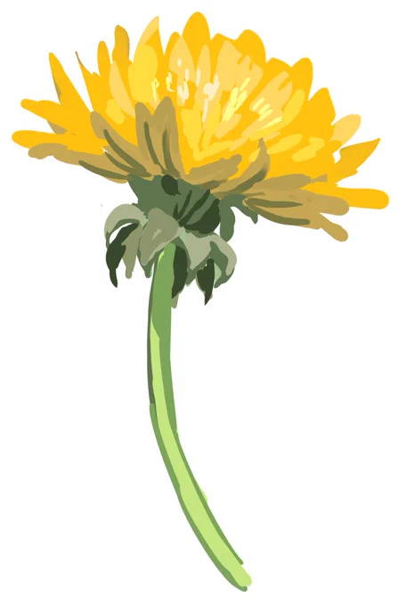 たんぽぽ描くの上手いか、さすがに