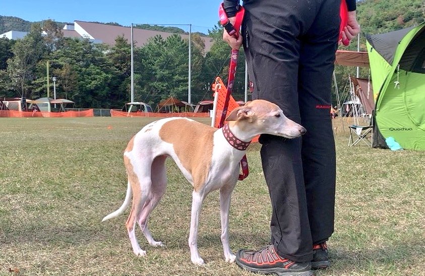 ダーさん tweet media