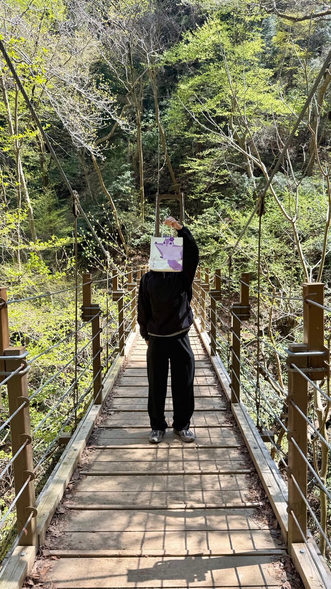 neko14_'s tweet photo. https://t.co/u0fgvh1psL