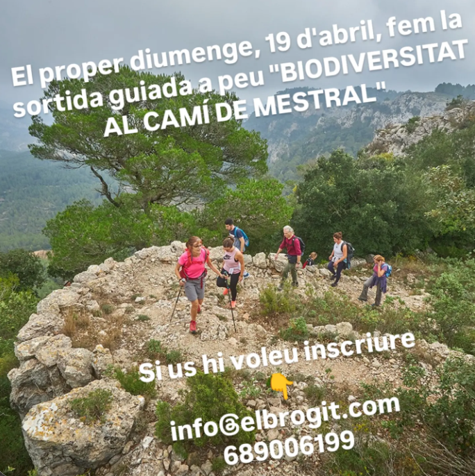 MuntanyesCD's tweet photo. 🌾Descobreix la riquesa natural de les Serres de Mestral a Vandellòs en una sortida de senderisme interpretatiu on la muntanya s'aboca de ple sobre la
Mediterrània🌊

#MuntanyesCD #vandellòs #BaixCamp #costadaurada #catalunyaexperience #elbrogit https://t.co/9GXJc5BaqU