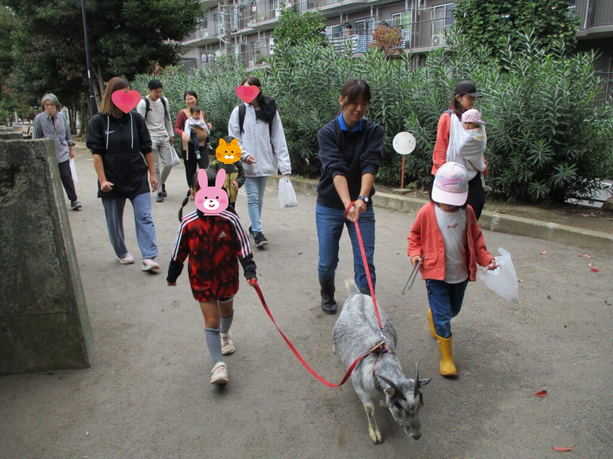 itabashizoopark's tweet photo. 高島平分園のイベントのお知らせです！

今春もヤギのクリーンパトロールと花壇作りイベントを行います🐐🌷
ヤギさんと園外をお散歩できるレアなイベントですので、ぜひご参加ください☆

日程：４月１５日（水）、２２日（水）
時間：９時２０分～

詳細はこちらから👇
https://t.co/A9B64MzntB https://t.co/9w39QRghBL