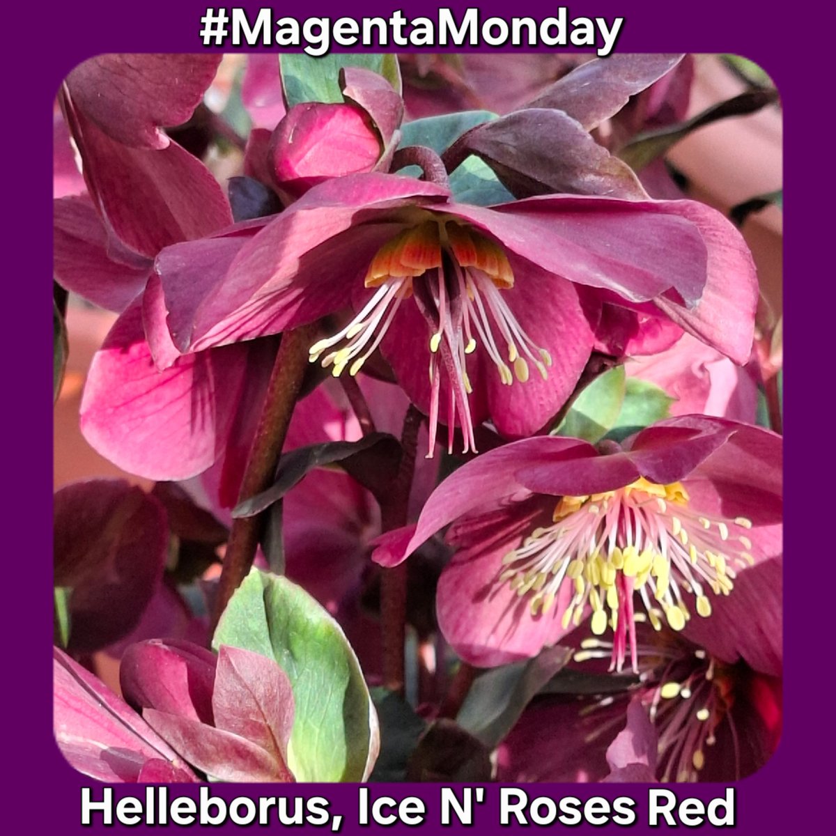 Terence Fleming tweet media