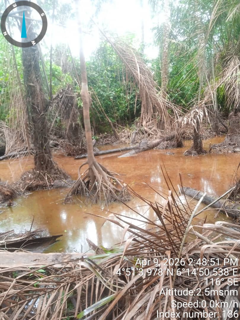 nosdraofficial's tweet photo. A post clean-up inspection was conducted at the 16’’ Nun River–Kolocreek Pipeline located at Agbura, Yenagoa LGA, Bayelsa State on 9th April 2026, following the completion of remediation activities by Renaissance Africa Energy Company Limited.
#nosdra #oilspillcleanup https://t.co/hzQ4v9IIhG