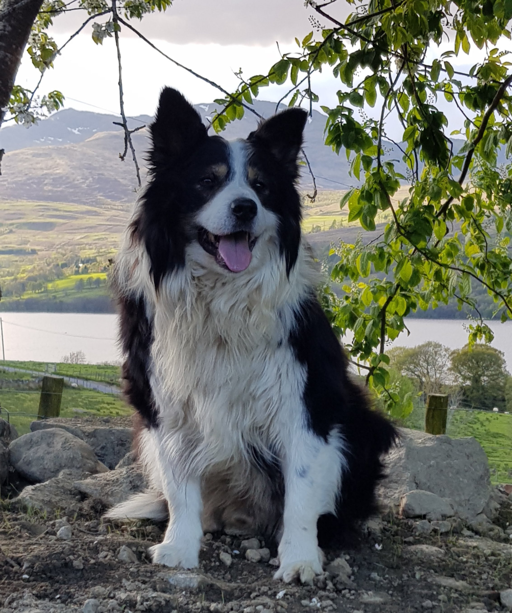 kaoulamahdi tweet media