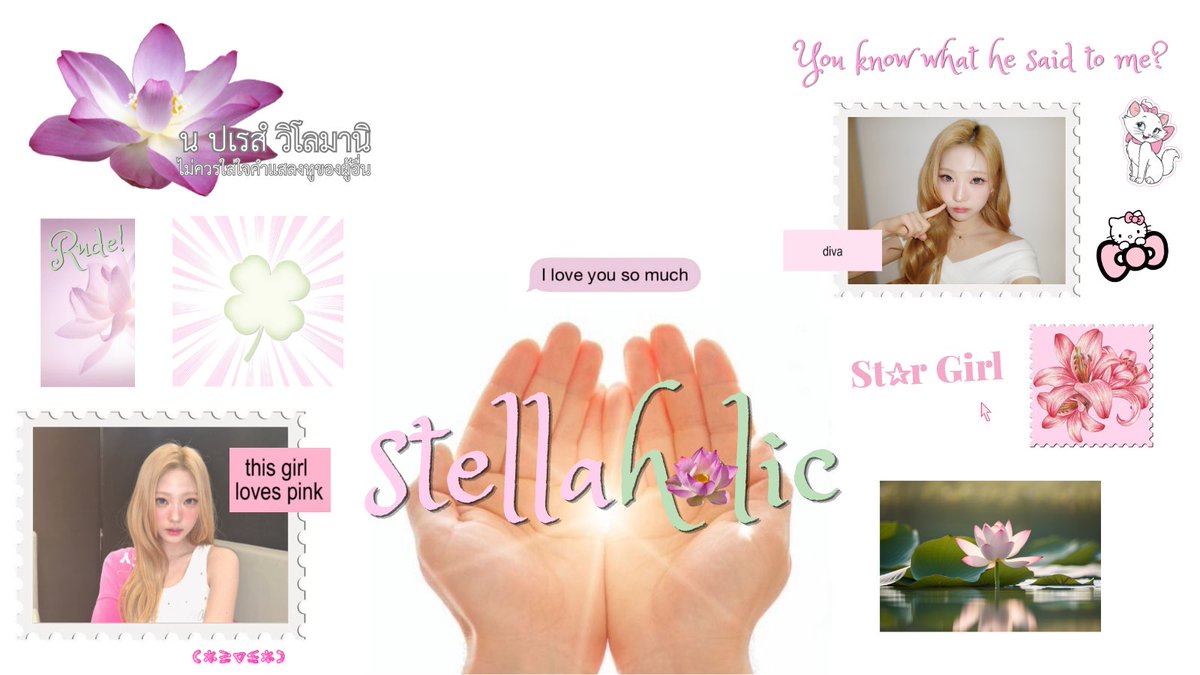 STELLA Thailand tweet media