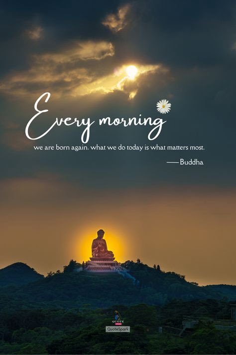 Amb. Stephen O. Enike-Matthew, PhD, MBA, PMP, CMS, tweet media