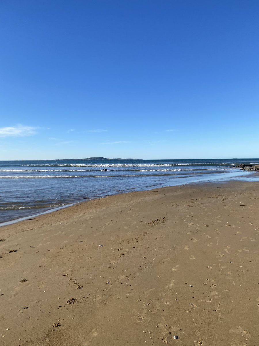 Lily Stardust Official tweet media