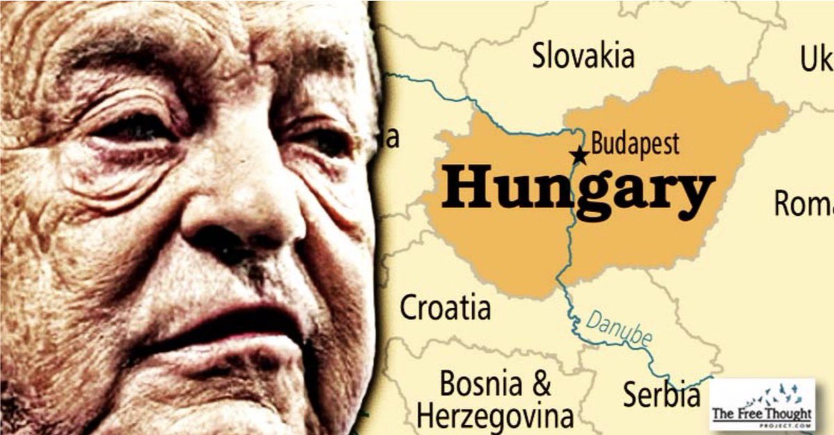 Camille Moscow 🇷🇺 🌿 ☦️ tweet media