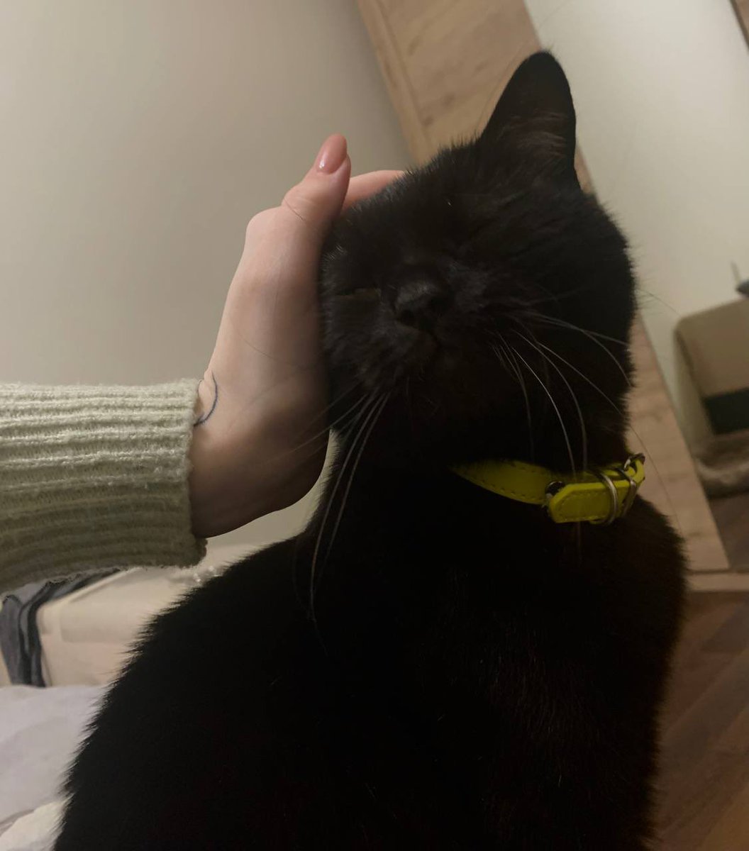 Сибирская язва tweet media