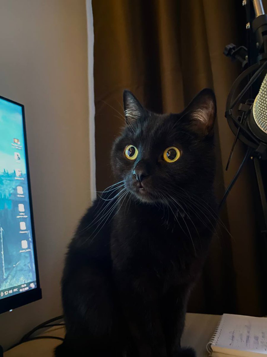 Сибирская язва tweet media