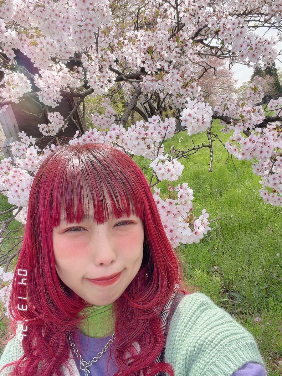 あーやん🍉CASAβLANCA tweet media