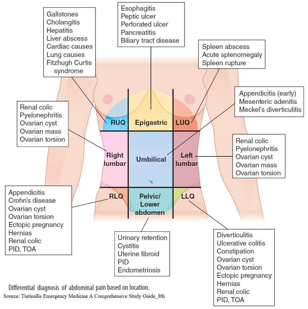 Manual Of Medicine tweet media